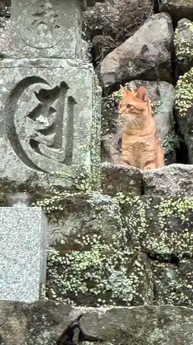 大威徳寺(大阪府)