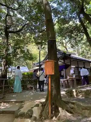  久延彦神社(奈良県)