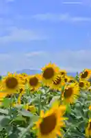 諏訪明神(神奈川県)