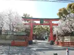 御霊神社の鳥居