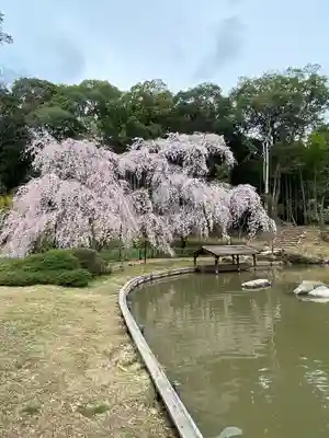 曹源寺(岡山県)