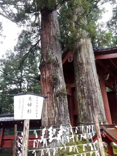 日光二荒山神社の自然