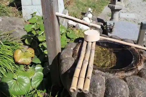 龍光寺の手水