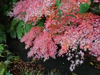 杉本寺(神奈川県)