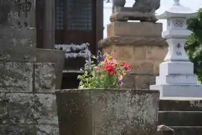 熊野福藏神社の手水舎