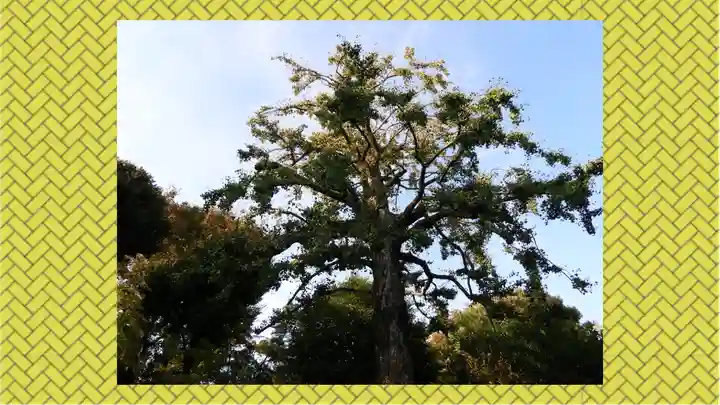 七社神社(東京都)