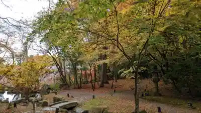 醍醐寺(京都府)