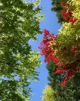 滑川神社 - 仕事と子どもの守り神(福島県)