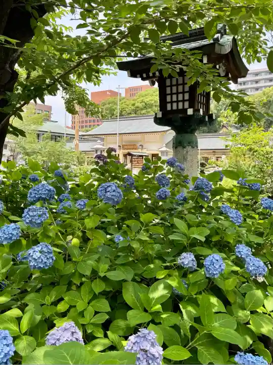 愛知縣護國神社(愛知県)