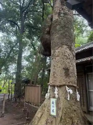 氷川女體神社(埼玉県)