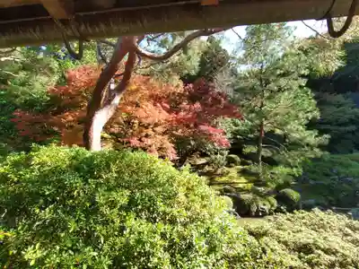 青蓮院門跡の御朱印