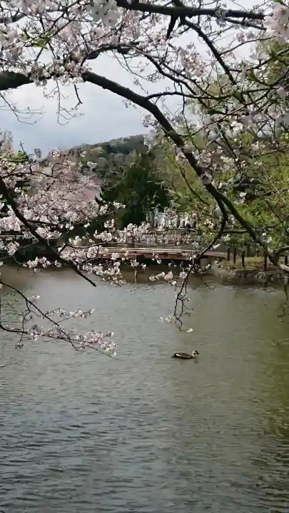 鶴岡八幡宮の{uncategorized: "未分類", other: "その他", undefined: "問題あり", building: "その他建物", grave: "お墓", sacred_gate: "鳥居", guardian: "狛犬", statue: "像", buddha: "仏像", history: "歴史", nature: "自然", garden: "庭園", animal: "動物", pagoda: "塔", temizu: "手水舎", mountain_gate: "山門・神門", sanctuary: "本殿・本堂", subordinate: "末社・摂社", art: "芸術", scenery: "景色", jizo: "地蔵", ema: "絵馬", goshuin: "御朱印", omikuji: "おみくじ", items: "授与品その他", amulet: "お守り", goshuincho: "御朱印帳", eats: "食事", festival: "お祭り", votive_dance: "神楽", shichigosan: "七五三参", wedding: "結婚式", experience: "体験その他", initially: "初詣", around: "周辺", anti_infection: "感染症対策"}