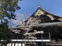 東本願寺(真宗本廟)のその他建物