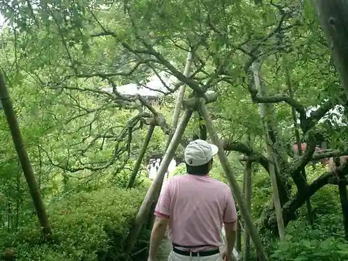瑞泉寺(神奈川県)
