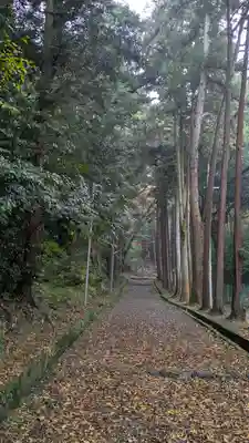 若山神社(大阪府)