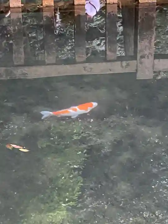 鹿島神宮(茨城県)