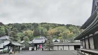 御寺 泉涌寺のその他建物