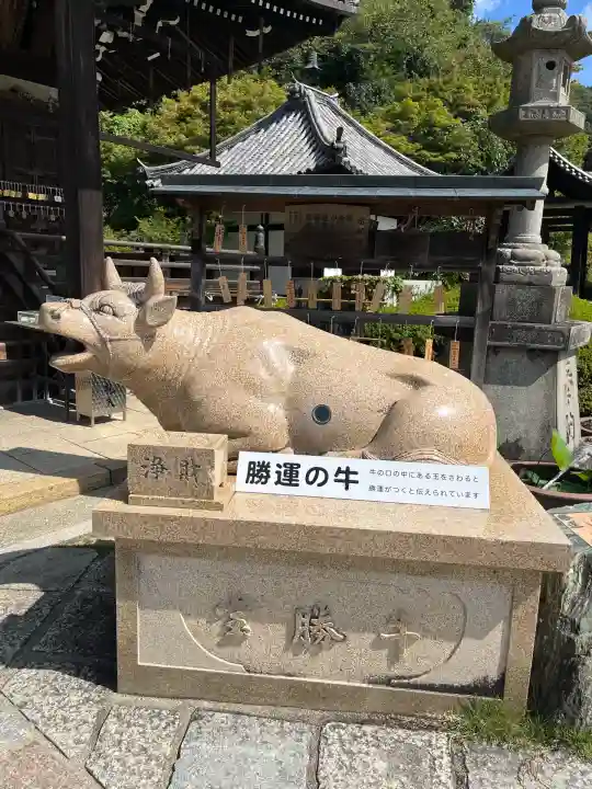 三室戸寺(京都府)
