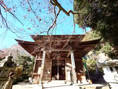 岩之上堂(埼玉県)