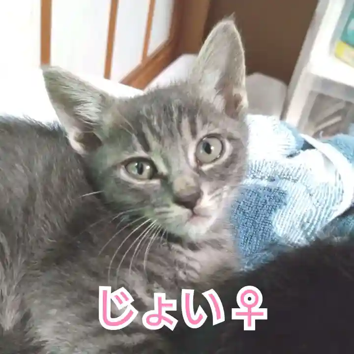 天王山 安楽寺(福井県)