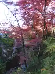 根来寺の自然