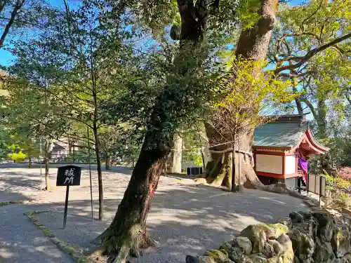 鹿児島神宮の自然