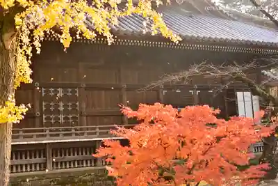 寛永寺(根本中堂)のその他建物