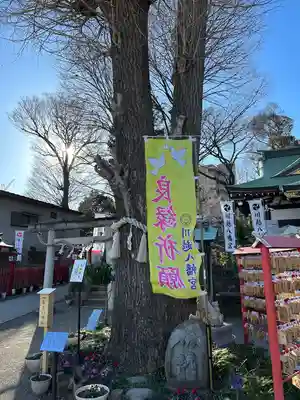 川越八幡宮(埼玉県)