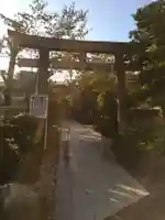 鳩森八幡神社の鳥居