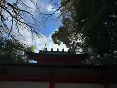 金神社(岐阜県)