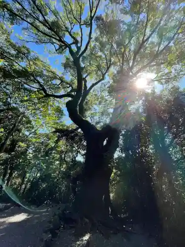 月讀宮（皇大神宮別宮）(三重県)