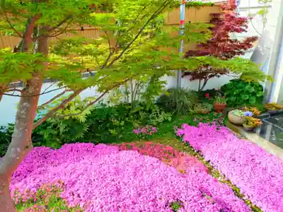 寿量山 速成寺(奈良県)