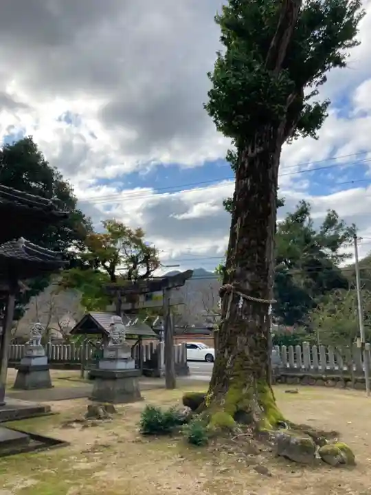 伊福部神社の自然