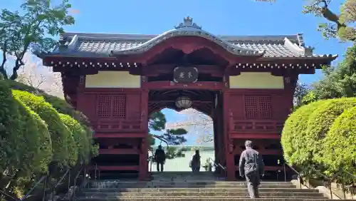 護国寺の{uncategorized: "未分類", other: "その他", undefined: "問題あり", building: "その他建物", grave: "お墓", sacred_gate: "鳥居", guardian: "狛犬", statue: "像", buddha: "仏像", history: "歴史", nature: "自然", garden: "庭園", animal: "動物", pagoda: "塔", temizu: "手水舎", mountain_gate: "山門・神門", sanctuary: "本殿・本堂", subordinate: "末社・摂社", art: "芸術", scenery: "景色", jizo: "地蔵", ema: "絵馬", goshuin: "御朱印", omikuji: "おみくじ", items: "授与品その他", amulet: "お守り", goshuincho: "御朱印帳", eats: "食事", festival: "お祭り", votive_dance: "神楽", shichigosan: "七五三参", wedding: "結婚式", experience: "体験その他", initially: "初詣", around: "周辺", anti_infection: "感染症対策"}