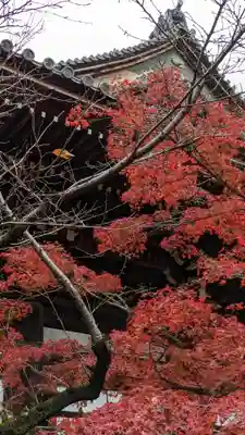 真正極楽寺(真如堂)(京都府)