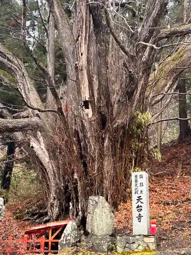 天台寺(岩手県)