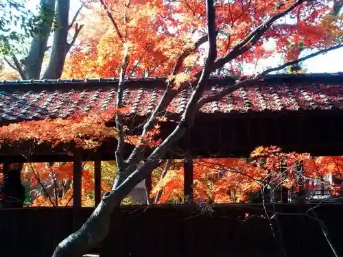 本土寺(千葉県)