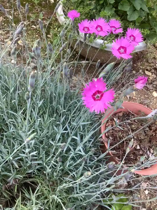 玉野御嶽神社の自然