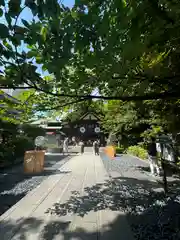 東京大神宮(東京都)