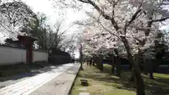 東大寺の建物その他