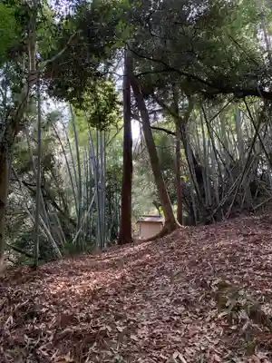 矢口神社の周辺