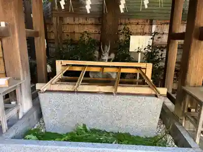 東京大神宮の手水舎