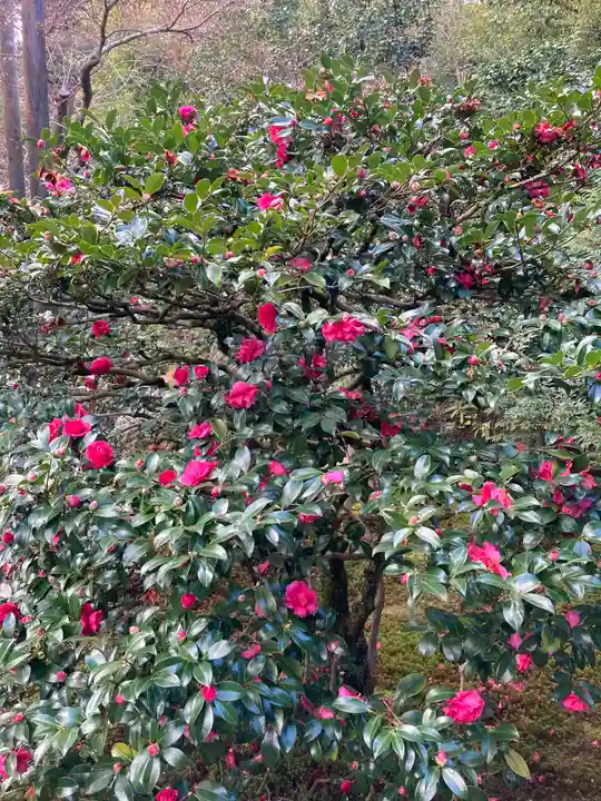 一條殿 新善光寺(京都府)