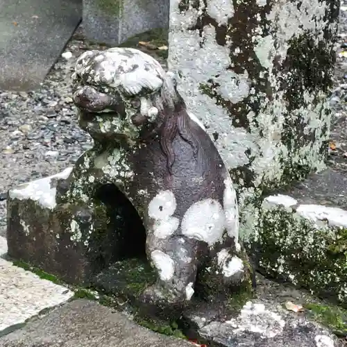 伊古奈比咩命神社の狛犬