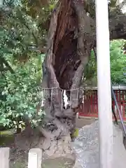 金王八幡宮(東京都)