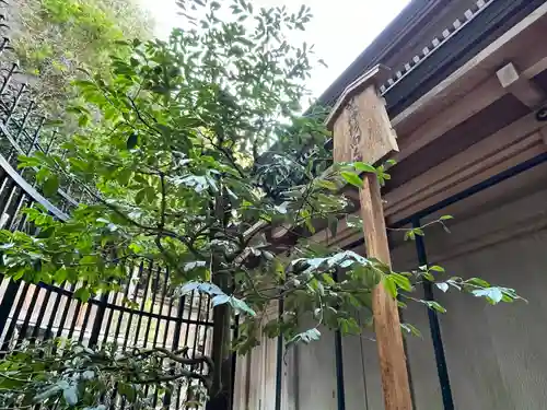 清荒神清澄寺(兵庫県)