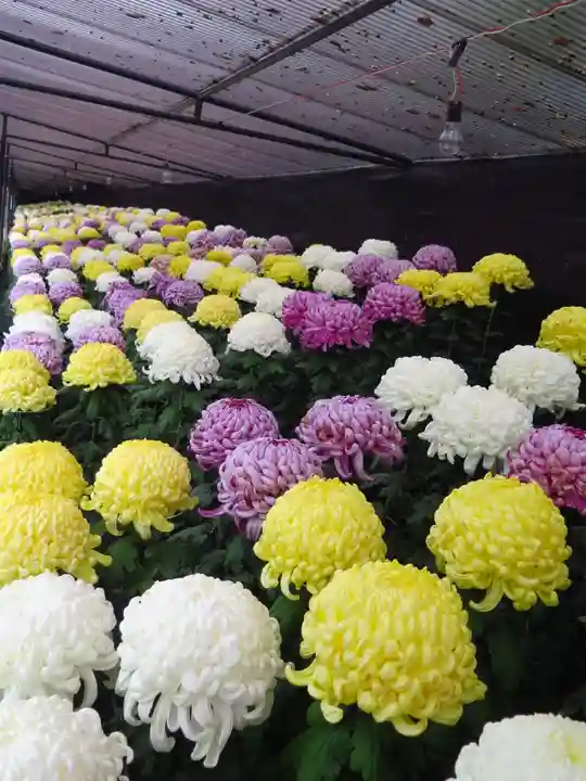 宗像大社の自然