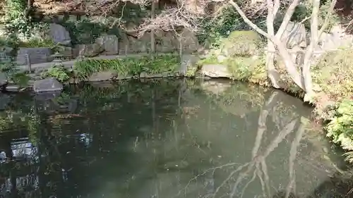 貫井神社の庭園