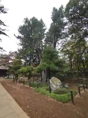 平林寺(埼玉県)