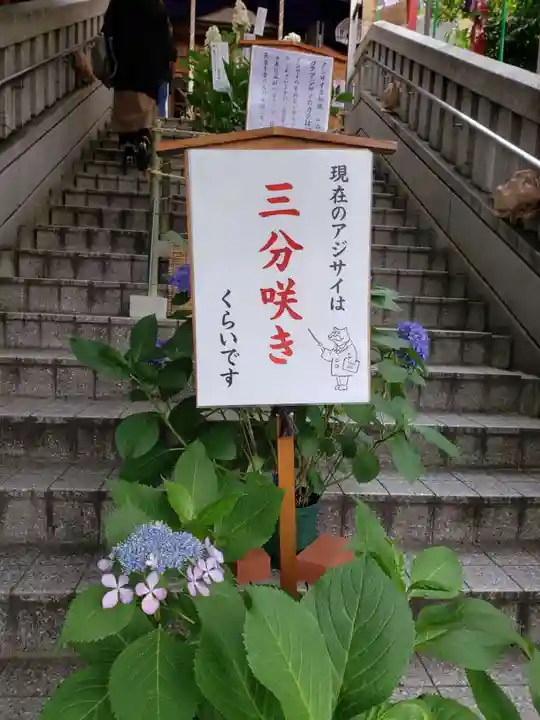 十番稲荷神社(東京都)
